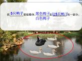 三年级下册数学课件-4.1  整体与部分 ▏沪教版  (2)