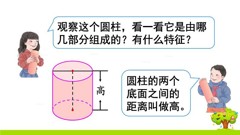 第1课时 圆柱的认识（1）课件PPT08