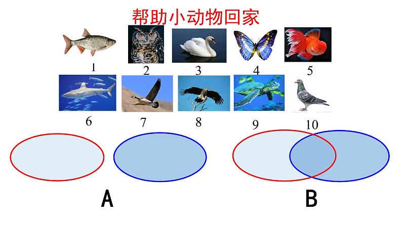 集合 (修改)课件PPT第7页