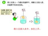 小學(xué)數(shù)學(xué)西師大版五年級(jí)下 3.3體積與體積單位 課件