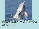 小學數(shù)學西師大版五年級下 5.3認識方程 課件