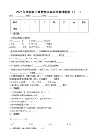 2022年北京版小升初数学最后冲刺押题卷（十一）（有答案，带解析）