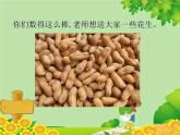 北师大版数学一年级下册 3.1 数花生 课件