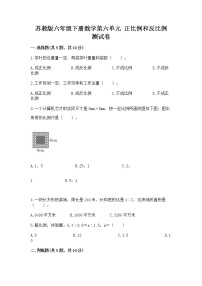 小学数学苏教版六年级下册六 正比例和反比例练习