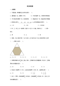 2021-2022学年六年级下学期数学小升初比和比例专项练习（有答案）