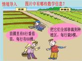 2021-2022學(xué)年青島版數(shù)學(xué)三年級(jí)下冊 四 綠色生態(tài)園 解決問題 信息窗二（歸一、歸總問題） 課件
