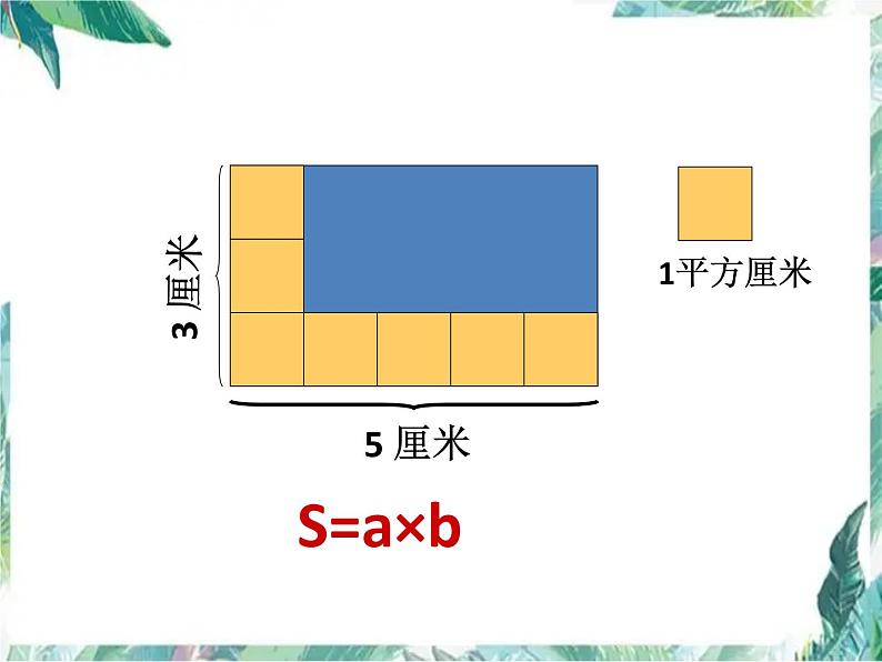 平面图形的周长和面积总复习课件PPT06