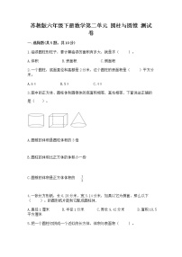 小学数学苏教版六年级下册二 圆柱和圆锥同步训练题