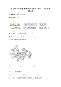 北京版一年级上册七 认识11～20各数当堂检测题