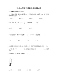 小学六年级下册数学期末测试卷含答案（综合卷）