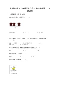 小学数学北京版一年级上册九 加法和减法（二）测试题