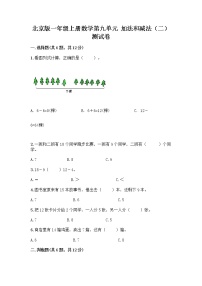 小学数学北京版一年级上册九 加法和减法（二）达标测试