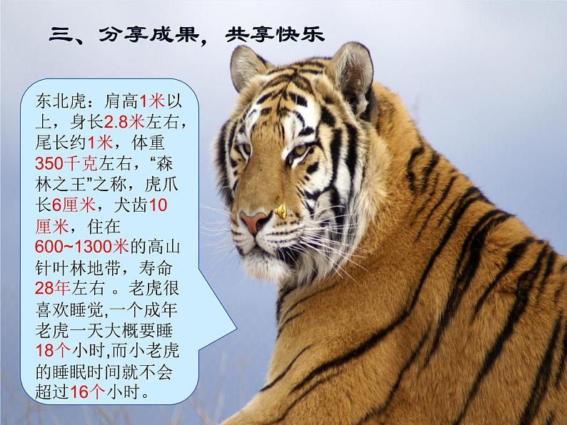 2021-2022学年青岛版数学二年级下册 三 甜甜的梦 毫米、分米、千米的认识 信息窗一（毫米、分米、千米的认识） 课件08