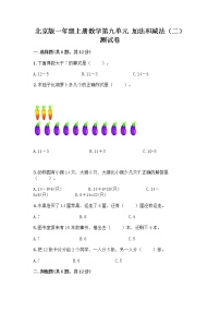 2020-2021学年九 加法和减法（二）同步达标检测题