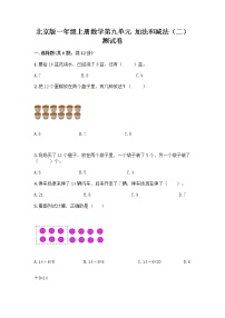 小学北京版九 加法和减法（二）课时作业