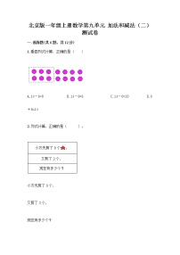 小学数学北京版一年级上册九 加法和减法（二）达标测试