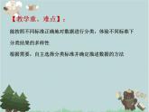 2021-2022學年青島版數(shù)學二年級下冊 綜合與實踐 漂亮的花朵（分類整理） 課件（重復）