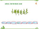 北师大版数学二年级下册 第五单元 加与减 第5课时  小蝌蚪的成长 课件
