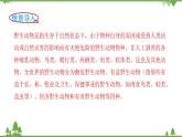北师大版数学二年级下册 第五单元 加与减 第3课时  十年的变化 课件