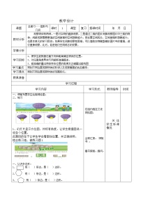 四年级数学下册教案  总复习——图形与几何   北师大版