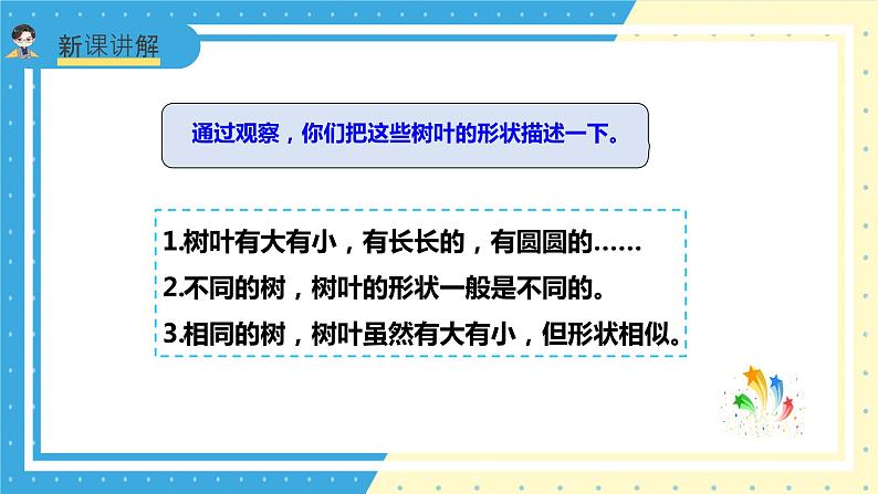 苏教版小学数学六年级上册3.6《树叶中的比》课件+教学设计07