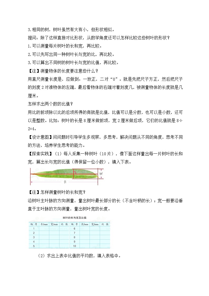 苏教版小学数学六年级上册3.6《树叶中的比》教学设计第2页
