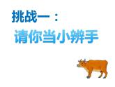 四年级数学下册课件-6.6应用乘法分配律进行简便计算   苏教版（共15张PPT）