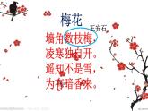 五年级上册数学课件-5.1 用字母表示数 北京版(共20张ppt)