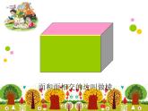 五年级数学下册课件-2.1 长方体的认识（12）-北师大版 32页