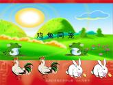 五年级上册数学课件-6.2 鸡兔同笼问题 北京版 (1) (共 17  张ppt)