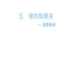 二年級(jí)下冊(cè)數(shù)學(xué)課件-5-觀察物體 青島版