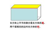 五年級下冊數(shù)學(xué)課件-3.1長方體、正方體的認(rèn)識   ︳西師大版  （共21張PPT）