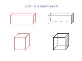 五年級下冊數(shù)學(xué)課件-3.1長方體、正方體的認(rèn)識   ︳西師大版  （共21張PPT）