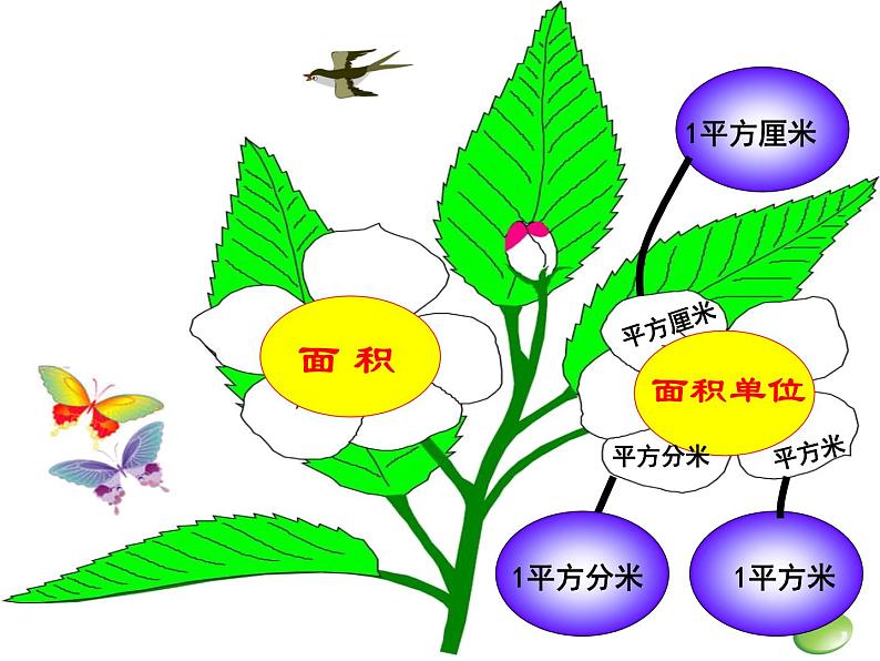 五年级下册数学课件-3.2  长方体和正方体的表面积  ︳西师大版第3页