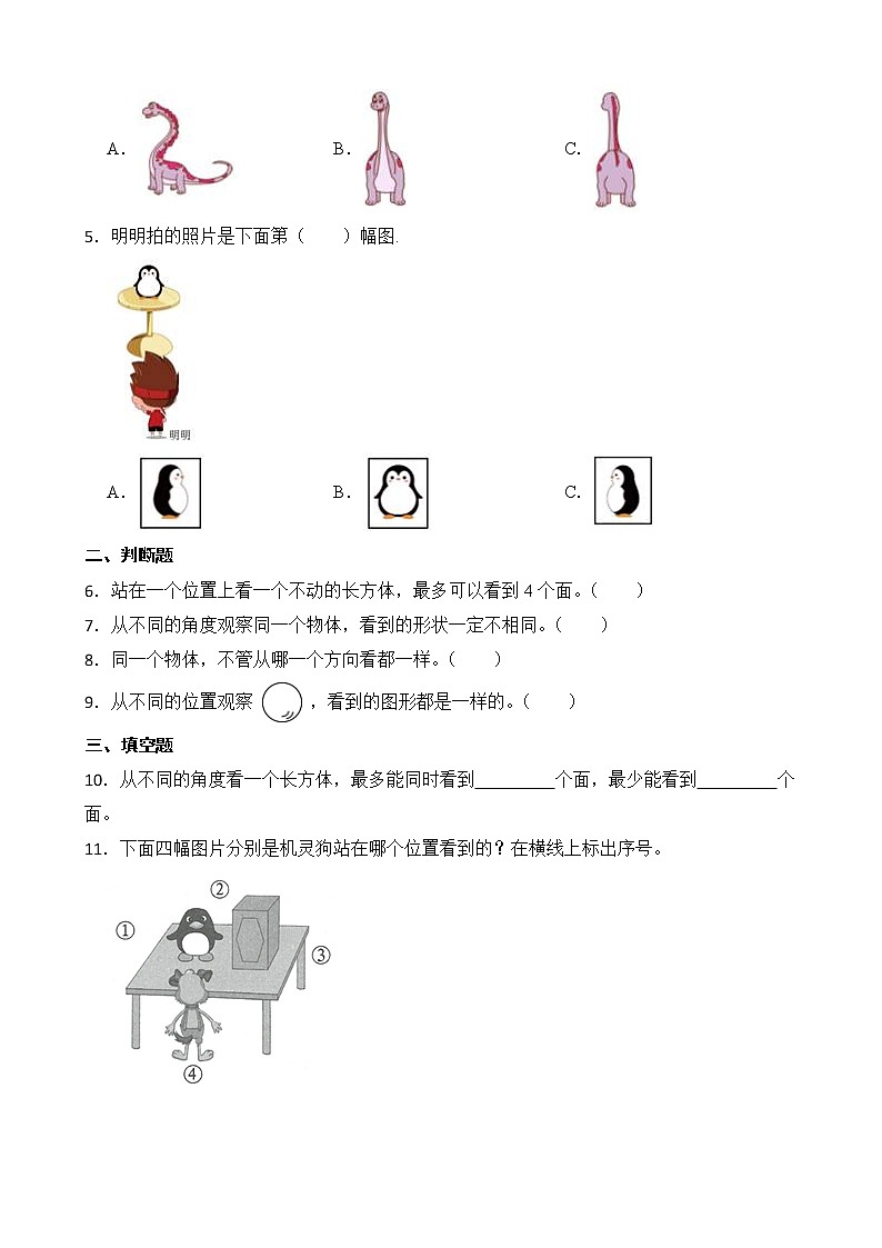 北师大版三年级数学上册-2.1 看一看（一）（课件+教案+学案+习题）02