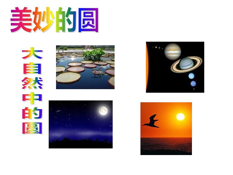 五年级数学下册课件-6圆的认识练习161-苏教版第4页