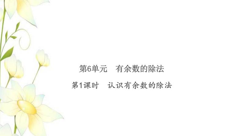 新人教版二年级数学下册第6单元有余数的除法第1课时认识有余数的除法习题课件01