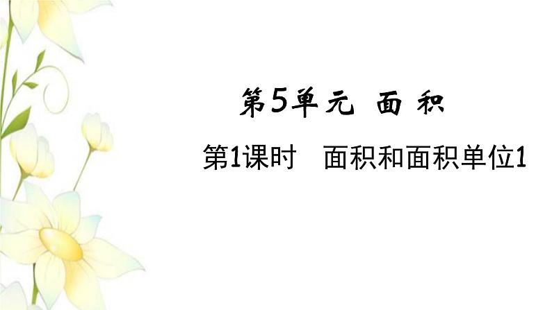 新人教版三年级数学下册第五单元面积第1课时面积和面积单位1教学课件01