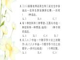 新人教版三年級數學下冊第8單元數學廣角_搭配整理和復習習題課件新人教版