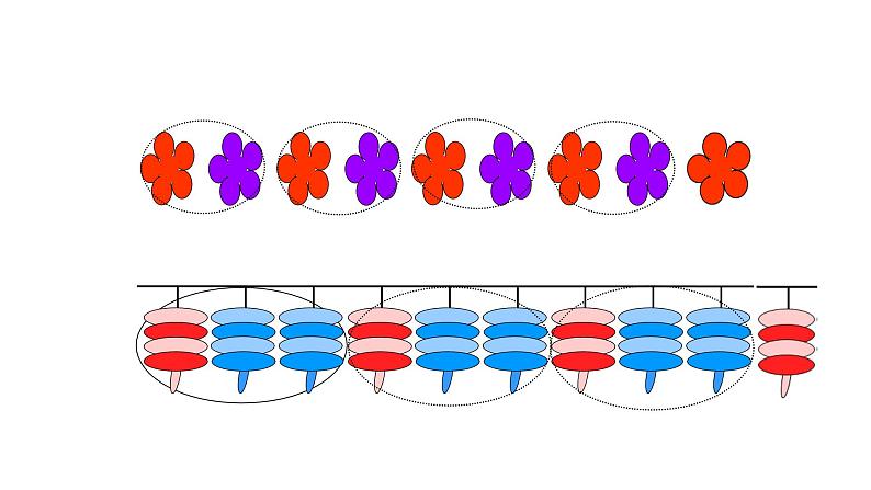 一年级数学下册课件-7 找规律（150）-人教版（共21张PPT）第5页