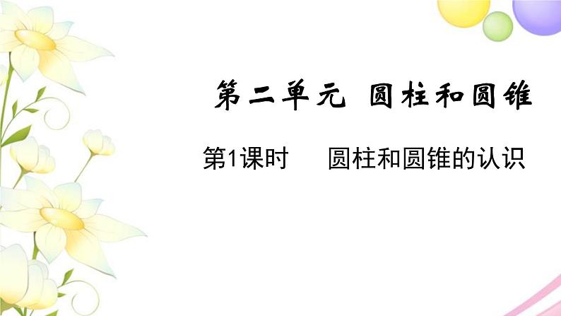 苏教版六年级数学下册第二单元圆柱和圆锥第1课时圆柱和圆锥的认识教学课件01