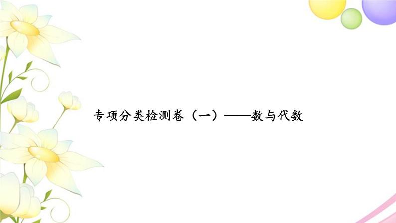 苏教版六年级数学下册专项分类检测卷一数与代数习题课件01