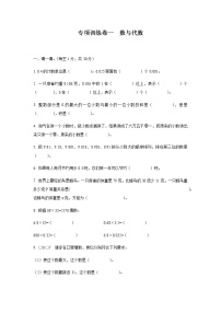 【满分冲刺】四年级下册数学试题 专项训练卷一  数与代数 北师大版