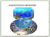 【滬教版五年制】一年級(jí)上冊(cè)第三單元  11-20的數(shù) 課件
