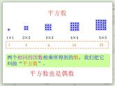 【滬教版五年制】二年級上冊第六單元  數(shù)學(xué)廣場 點(diǎn)圖與數(shù) ppt課件