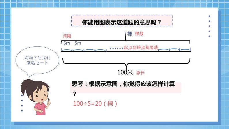 7.1《植树问题1》课件+教案08