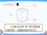 2022年苏教版六年级上册数学第一单元第2课时 正方体的认识 课件