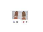 一年级下册数学课件-5.1   左与右  ▏沪教版 (共24张PPT)