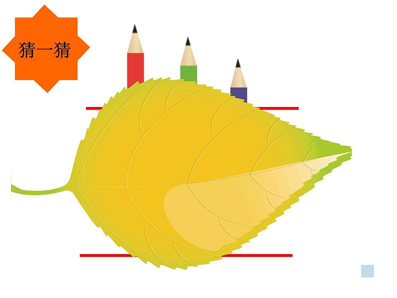 一年级下册数学课件-5.3   长度比较  ▏沪教版（共15张PPT）第6页