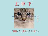 一年级下册数学课件-5.2   上 中 下 左 中 右  ▏沪教版 (共15张PPT)